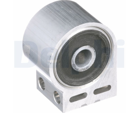 Control Arm-/Trailing Arm Bush TD874W Delphi, Image 2