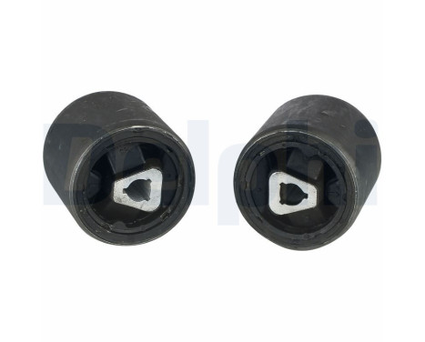 Control Arm-/Trailing Arm Bush TD891W Delphi