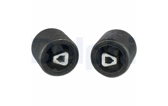 Control Arm-/Trailing Arm Bush TD891W Delphi