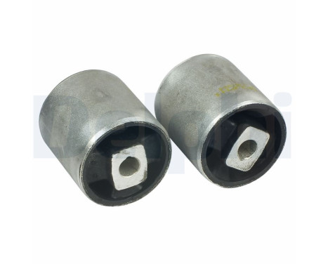 Control Arm-/Trailing Arm Bush TD905W Delphi