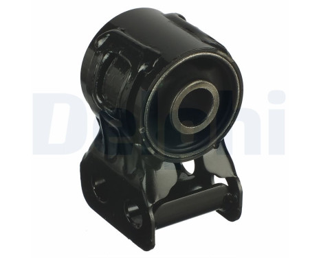 Control Arm-/Trailing Arm Bush TD920W Delphi