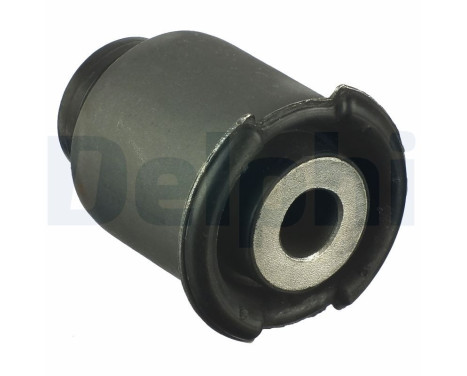 Control Arm-/Trailing Arm Bush TD936W Delphi