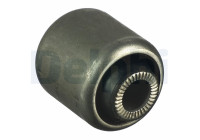 Control Arm-/Trailing Arm Bush TD950W Delphi