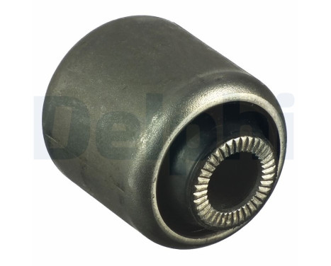 Control Arm-/Trailing Arm Bush TD950W Delphi
