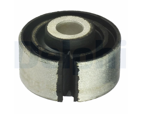 Control Arm-/Trailing Arm Bush TD966W Delphi