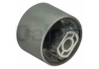 Control Arm-/Trailing Arm Bush TD975W Delphi