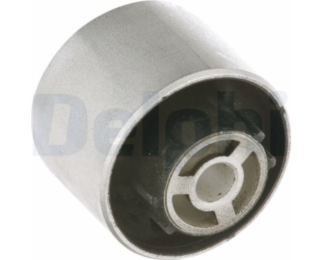 Control Arm-/Trailing Arm Bush TD975W Delphi