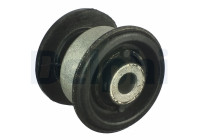 Control Arm-/Trailing Arm Bush TD977W Delphi