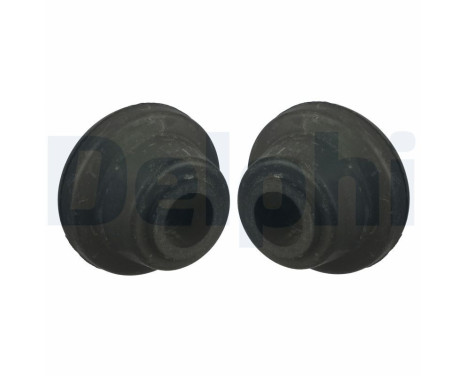 Control Arm-/Trailing Arm Bush TD993W Delphi