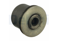 Control Arm-/Trailing Arm Bush TD997W Delphi
