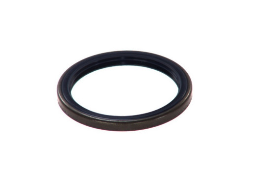 Seal Ring, stub axle
