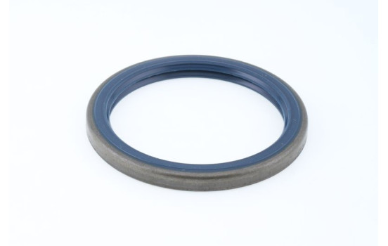 Seal Ring, stub axle, Image 3