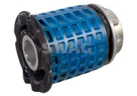 axle body bearing