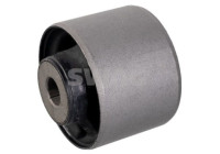 axle body bearing