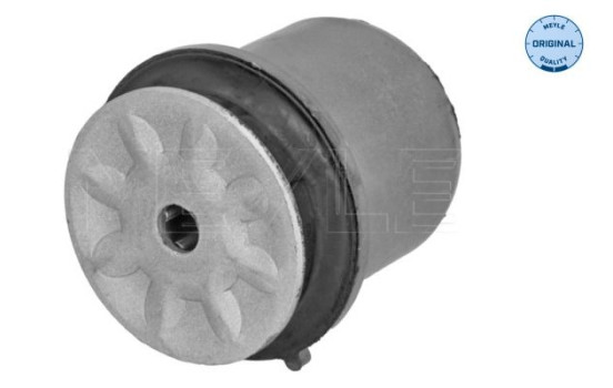 Rear axle bearing