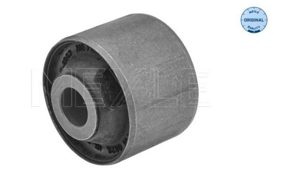 rear axle bearing