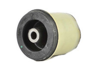 rear axle bearing