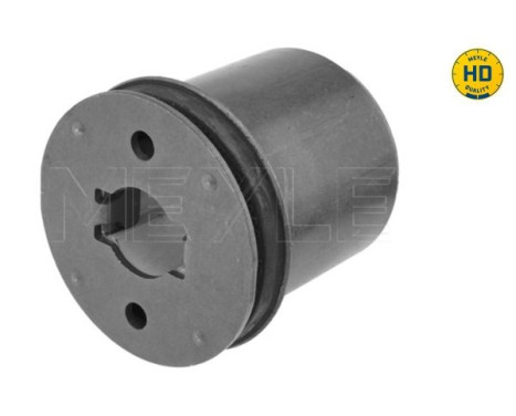 rear axle bearing