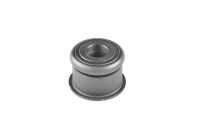 rear axle bearing