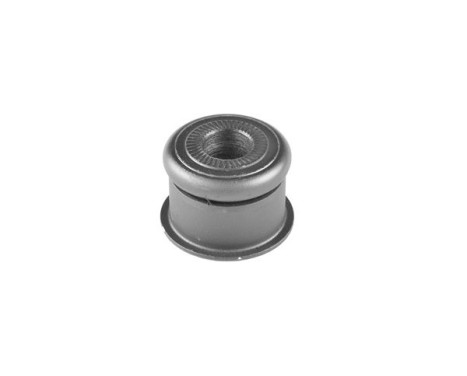 rear axle bearing