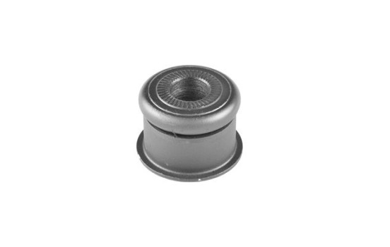 rear axle bearing