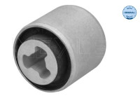 Rear axle bearing