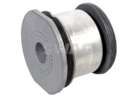 axle body bearing