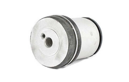 rear axle bearing
