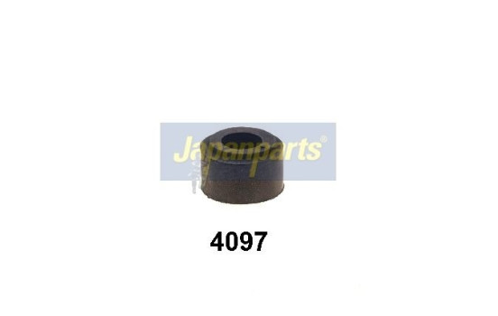 Bearing bush, stabilizer