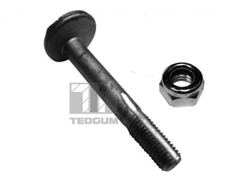 Camber Correction Screw 00228329 Tedgum