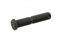 Camber Correction Screw 01248 FEBI