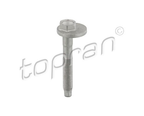 Camber Correction Screw 119 040 Topran