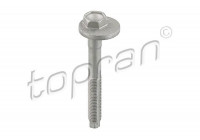 Camber Correction Screw 119 041 Topran