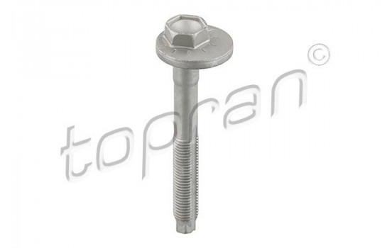 Camber Correction Screw 119 041 Topran
