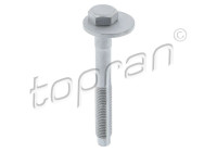 Camber Correction Screw 119 041 Topran