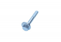 Camber Correction Screw 49-5088 Maxgear