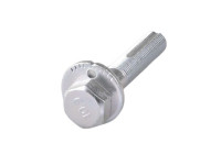 Camber correction screw TED47949 Tedgum