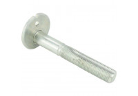 Camber Correction Screw
