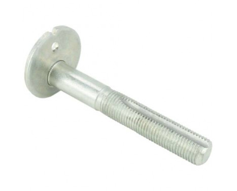 Camber Correction Screw