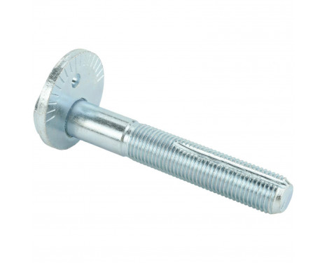Camber Correction Screw