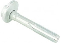 Camber Correction Screw