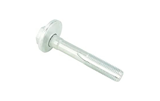 Camber Correction Screw