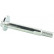 Camber Correction Screw