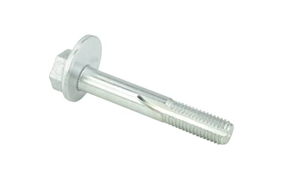 Camber Correction Screw