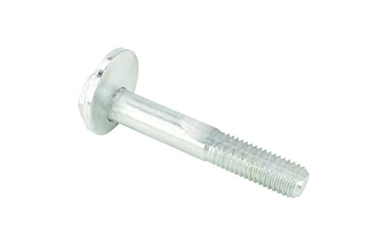 Camber Correction Screw