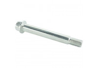 Camber Correction Screw