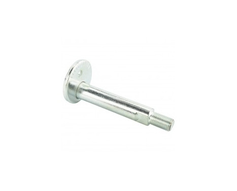 Camber Correction Screw