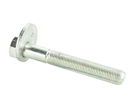Camber Correction Screw