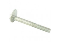 Camber Correction Screw