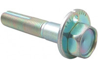 Camber Correction Screw